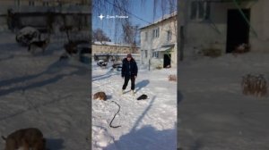 ВЕЧЕРНЯЯ ПРОГУЛКА С НАЙДОЙ И ЧИСТИМ СНЕГ