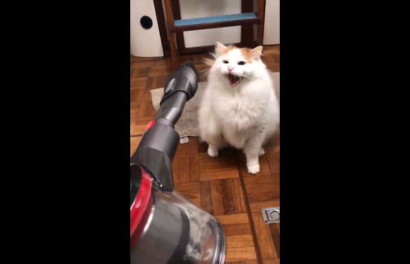 Ты кто такой? смотреть онлайн