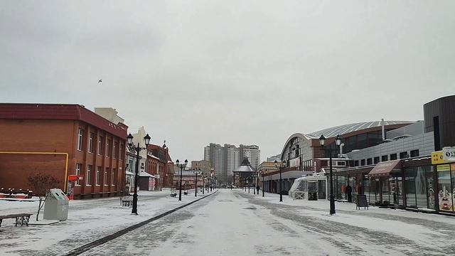 Мало-Тобольская улица. Барнаул. Пешком. Часть 2. От Старого базара к Социалистическому проспекту смотреть онлайн