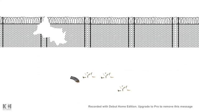 Antigen Presenting Cells (APC)