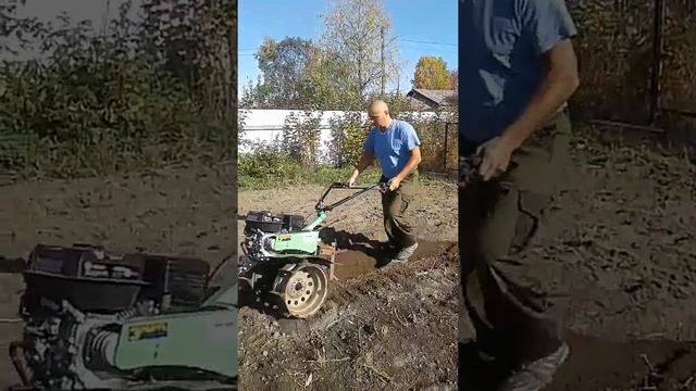 Пашем огород мотоблок энергоПром МБ 800