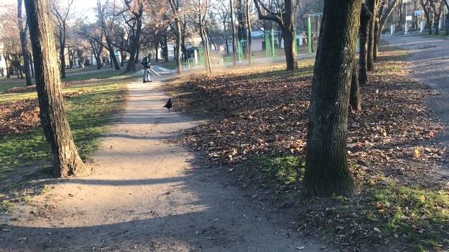 Что оно дырынчит ??? Где мой старый пылесос !!! смотреть онлайн