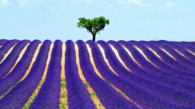 Проект 1Коллекция фотографий красивых людей и пейзажа природы. смотреть онлайн