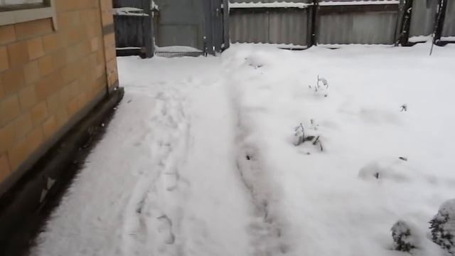 Влог: на работе, снег и елка) смотреть онлайн