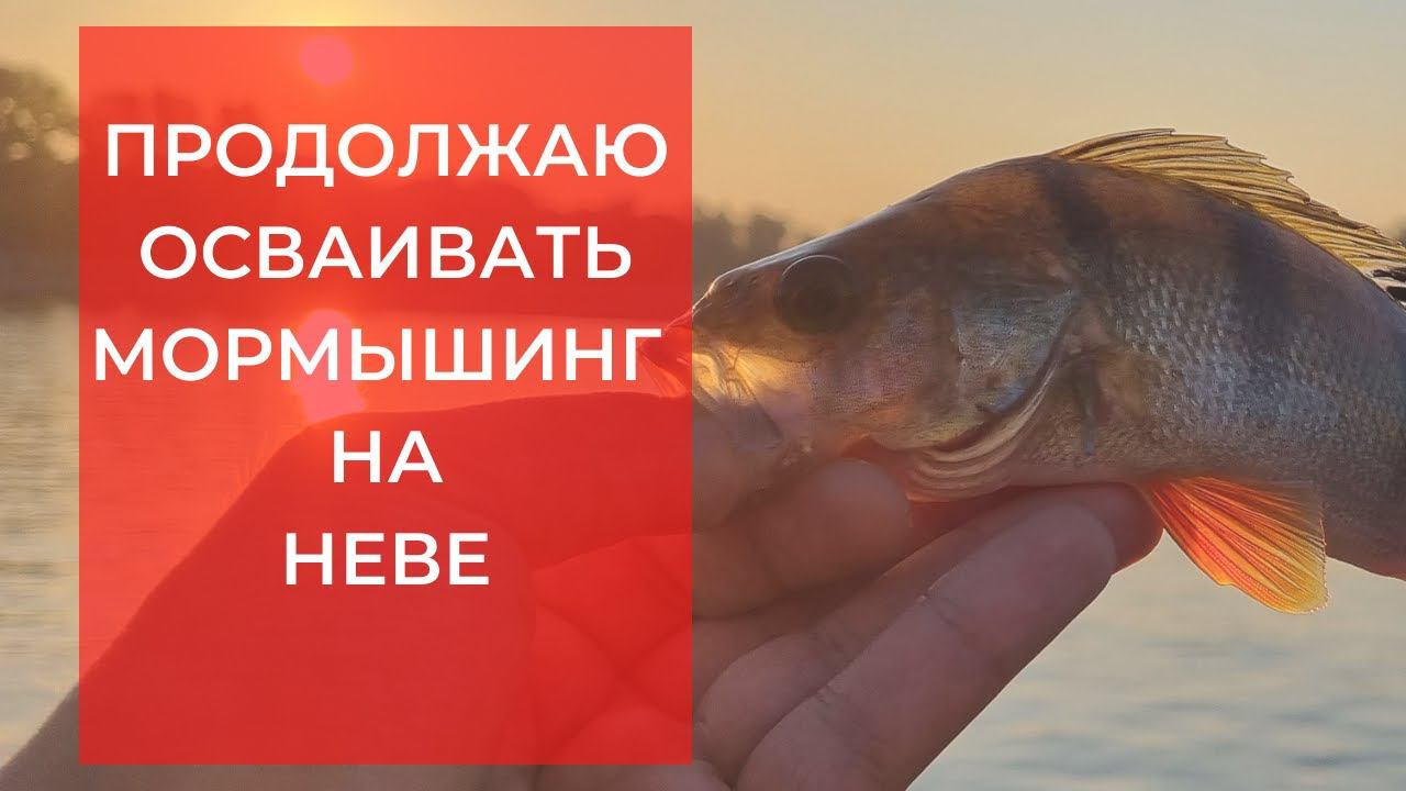 #13 #мормышинг Первый опыт смотреть онлайн