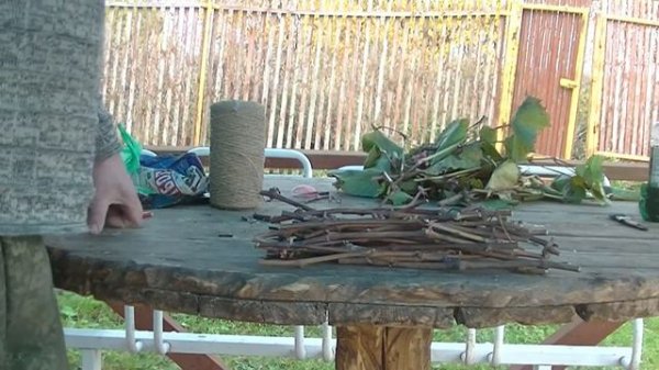 ЧЕРЕНКОВАНИЕ ВИНОГРАДНОЙ ЛОЗЫ