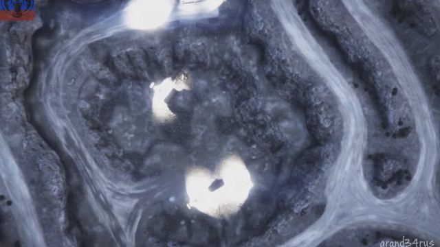 GTA 5 Online Ограбление - Налет на Humane Insurgent #2 смотреть онлайн