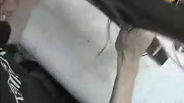 Muhammed Suicmez Xiphos test