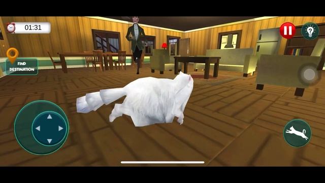 Reviewing Cat & Maid Virtual Cat Simulator Kitten Game - IOS Gameplay 2023