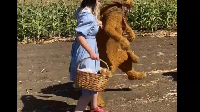 Wizard of OZ Maize Maze PROMO V4 смотреть онлайн