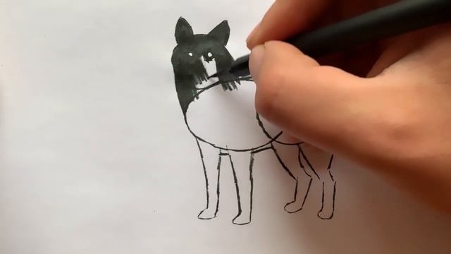 How to Draw a Wolf смотреть онлайн