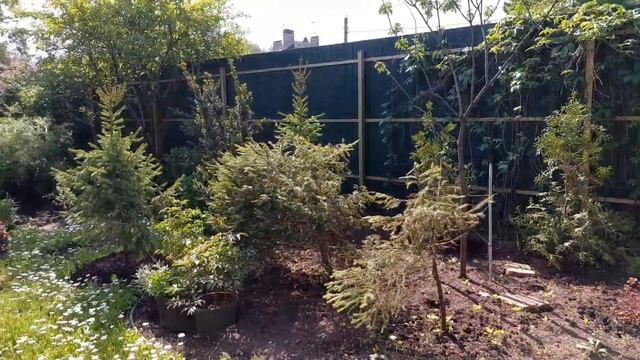 БОЛЬШИЕ пересадки в саду. Что уже сделано. Прогулка по саду с рассказом о делах. Сад для жизни. смотреть онлайн
