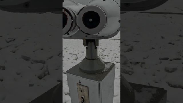 Сахалин. Сивучи #невельск #сахалин #путешествие #сивучи #shorts смотреть онлайн