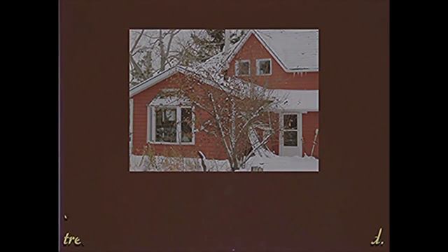 [RUS SUB] WORLD'S WEIRDEST ANIMALS － GEMINI HOME ENTERTAINMENT на русском