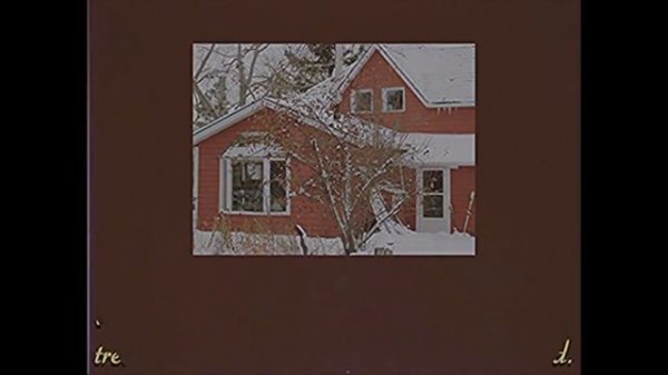 [RUS SUB] WORLD'S WEIRDEST ANIMALS － GEMINI HOME ENTERTAINMENT на русском