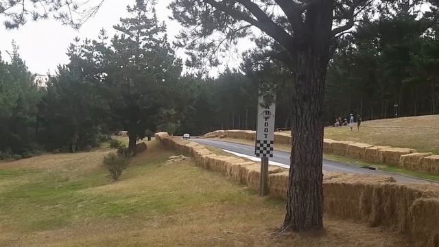 BEST OF HillClimb Monsters || RALLY CAR Edition