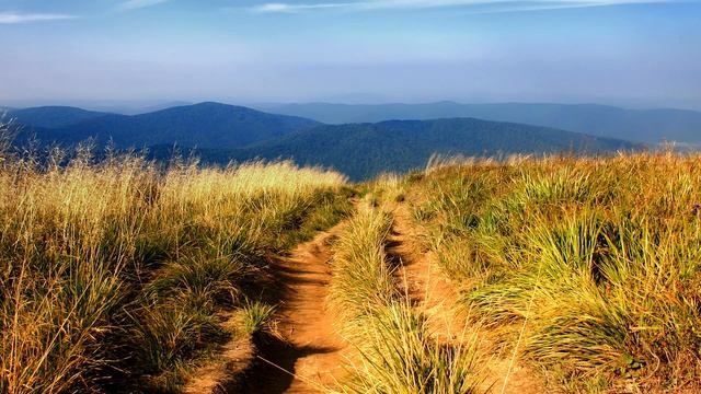 APP DATE - Там (ремейк) смотреть онлайн