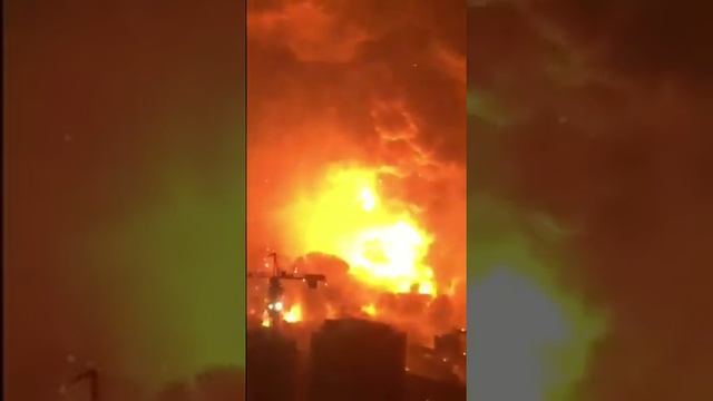 Щадило и Мопс - ДОНАТЕР ОРГАНИЗОВАЛ КРУПНЕЙШИЙ ФЕЙЕРВЕРК ,ЧТОБЫ ИХ МОГЛИ ОПУСТИТЬ ПРИ СВЕТЕ смотреть онлайн