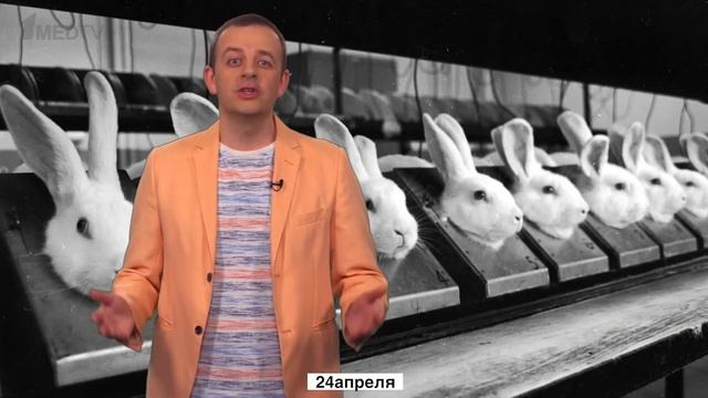 24 Апреля | День лабораторных животных | Медицинский календарь смотреть онлайн