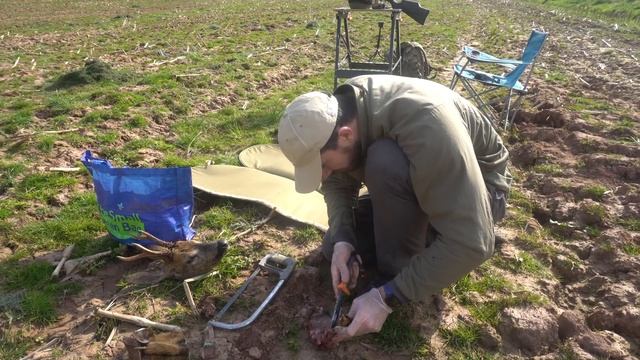 Can you KILL a DEER with an AIR RIFLE? Lets find out! смотреть онлайн