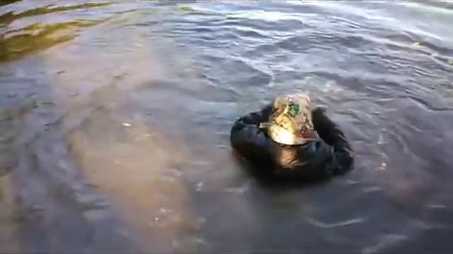 Водяной - сын ботаник и придурок отец смотреть онлайн