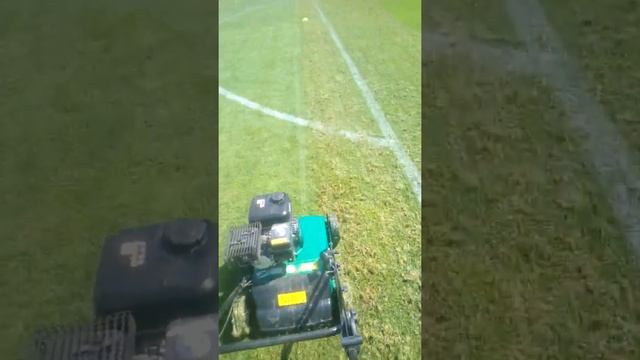 Аэратор- скарификатор в деле