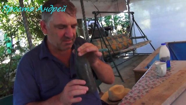 В ПОИСКАХ КЛАДА НА УЧАСТКЕ С ВНУКОМ ШОК ОТ НАХОДОК смотреть онлайн