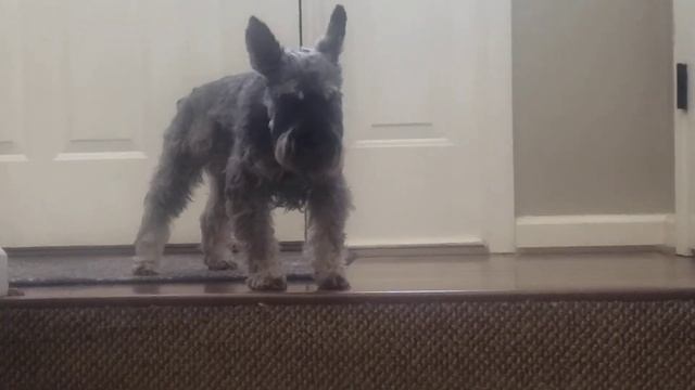Sliiide to the left. смотреть онлайн