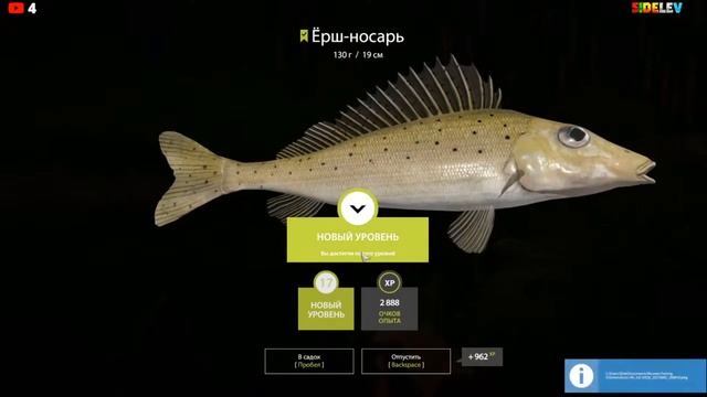 Русская Рыбалка 4 — Ёрш носарь на реке Вьюнок 108:123 смотреть онлайн