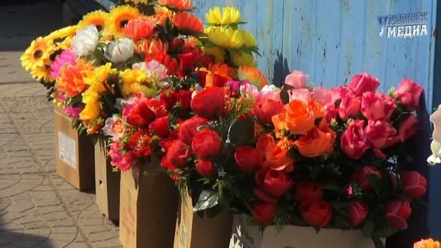 Богослужения в праздник Пасхи смотреть онлайн