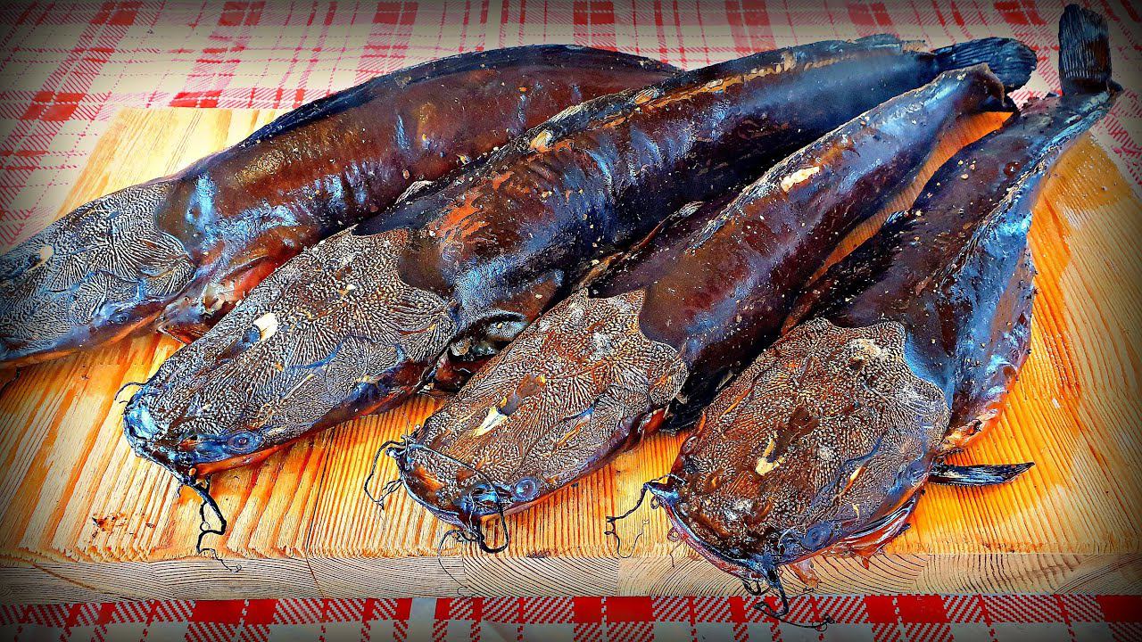 РЫБА ГОРЯЧЕГО КОПЧЕНИЯ | КОПЧЕНЫЙ АФРИКАНСКИЙ СОМ | ПРОСТОЕ КОПЧЕНИЕ РЫБЫ | КАК ВКУСНО КОПТИТЬ РЫБУ смотреть онлайн