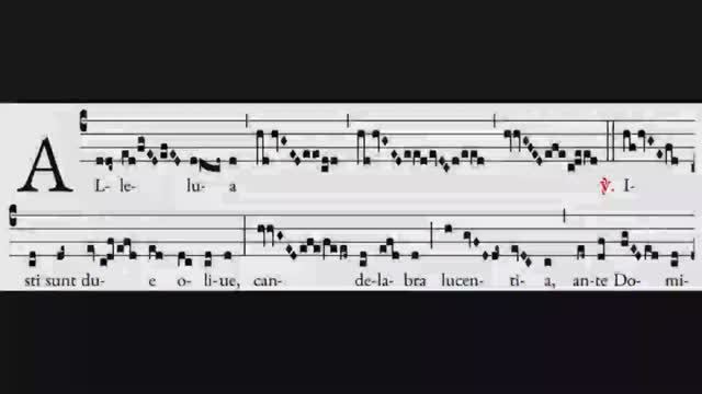 Alleluia Isti Sunt Duae Olivae