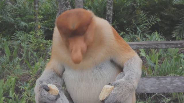 На Исети. Близ Чертого городища. смотреть онлайн