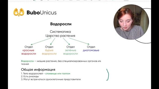 Основы систематики растений| БИОЛОГИЯ ЕГЭ | Лина Клевер смотреть онлайн
