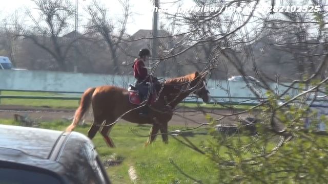 Краснодарский иподром монтаж антенны Триколор ТВ смотреть онлайн