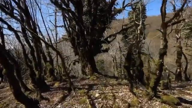 Русские туристы осквернили в Абхазии святые места смотреть онлайн