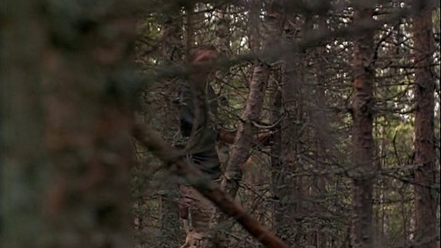 Холодное лето пятьдесят третьего