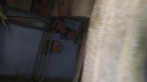 Как правильно давать ивермектин попугаям, и обзор птенцов корелл.