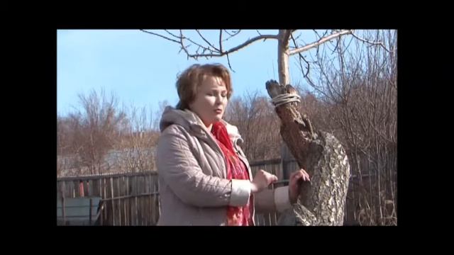 Весенняя обработка сада смотреть онлайн
