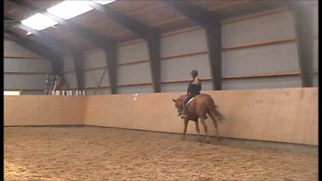 Marie Witt Poulsen - Skikkilds Wisette смотреть онлайн