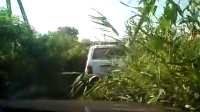 САФАРИ 2010 АНАПА.MP4 смотреть онлайн