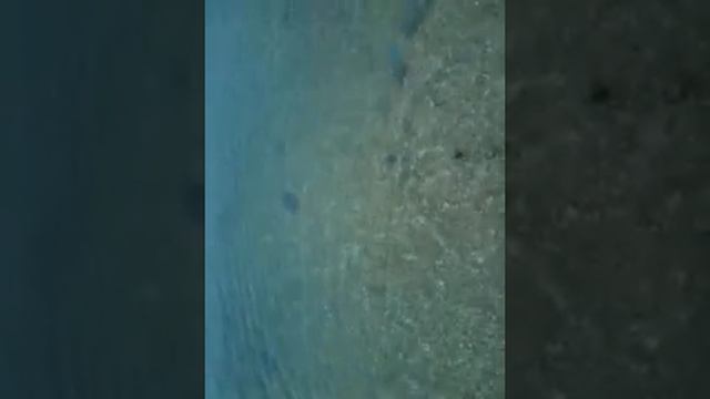 как я стоял на берегу в стеригущем смотреть онлайн