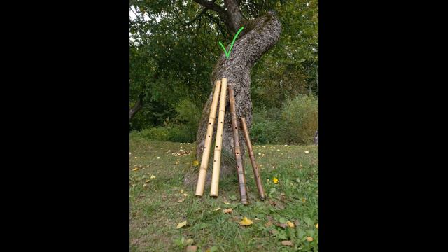 Sounds of Hocchiku & shakuhachi/audio смотреть онлайн
