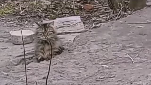 ДОРОГА В ШКОЛУ... ?????????? смотреть онлайн