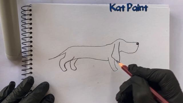 Рисуем таксу карандашом / draw a dachshund with a pencil смотреть онлайн
