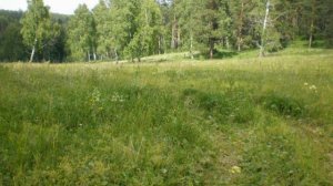 Туган як - Василя Фаттахова