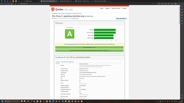 Как проксировать веб-приложения с помощью nginx смотреть онлайн