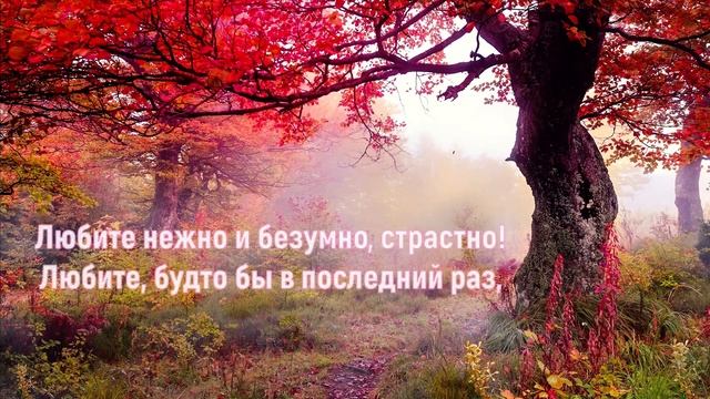 Душевное стихотворение о любви. В жизни так бывает смотреть онлайн