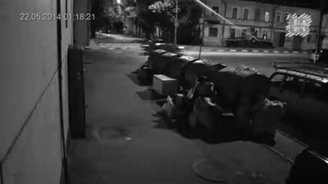 Быстро среагировал, как скрыться от погони (Reacted quickly as escape from his pursuers) смотреть онлайн