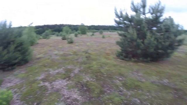 GOPRO грибы + коп смотреть онлайн